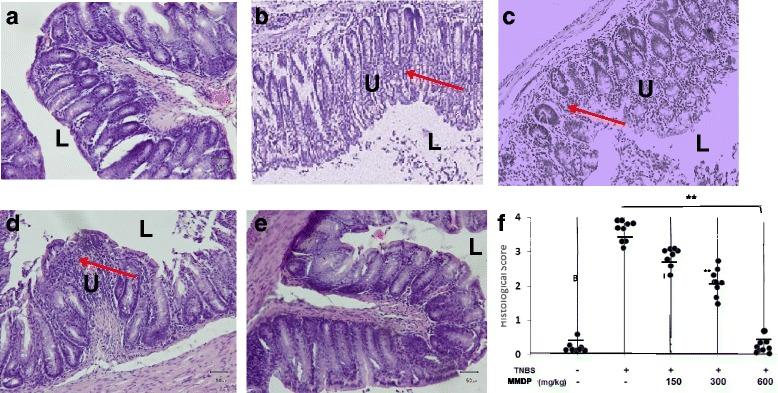 https://cdn.ncbi.nlm.nih.gov/pmc/blobs/044b/5613399/0ec711db04c9/12906_2017_1973_Fig3_HTML.jpg