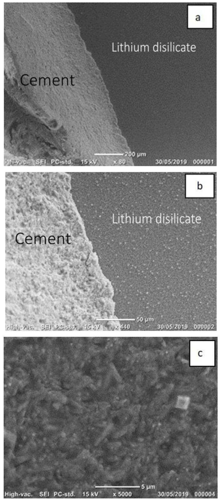 https://cdn.ncbi.nlm.nih.gov/pmc/blobs/044b/8232589/6764fdf80b2d/materials-14-03302-g003.jpg