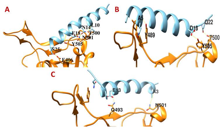 https://cdn.ncbi.nlm.nih.gov/pmc/blobs/044c/7411520/5d160d7b3165/f1000research-9-26557-g0000.jpg
