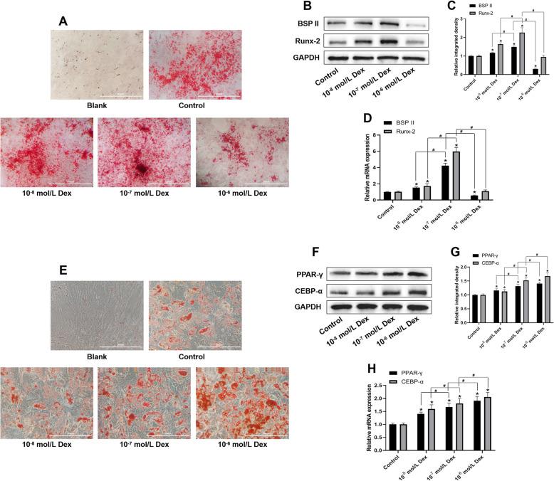 https://cdn.ncbi.nlm.nih.gov/pmc/blobs/044d/7788840/cbc117392391/13287_2020_2040_Fig5_HTML.jpg