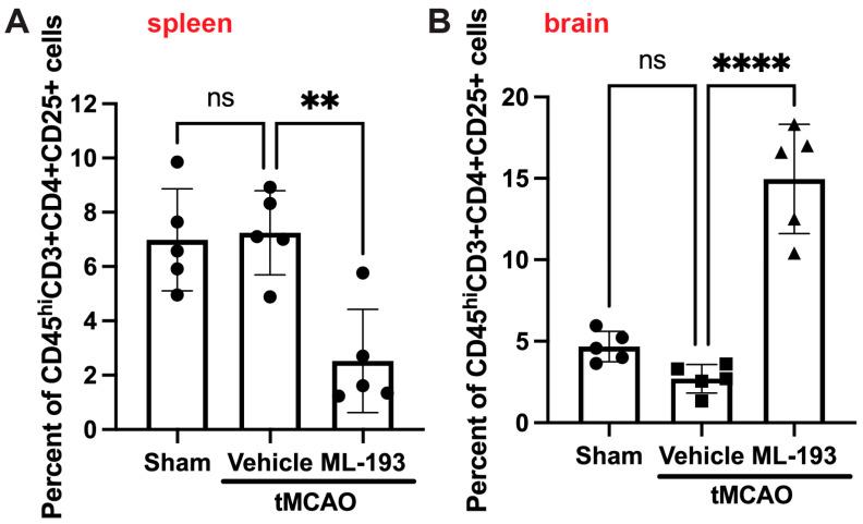 https://cdn.ncbi.nlm.nih.gov/pmc/blobs/0451/10855118/7c3577d17cd9/cells-13-00280-g005.jpg