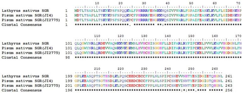 https://cdn.ncbi.nlm.nih.gov/pmc/blobs/0455/5671653/5ac8bf09d4c2/fpls-08-01873-g0005.jpg