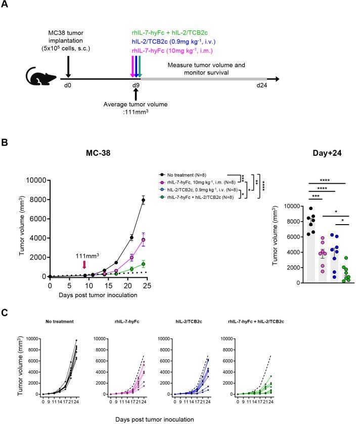 https://cdn.ncbi.nlm.nih.gov/pmc/blobs/0456/10936464/a03695b84627/jitc-2023-008001f01.jpg