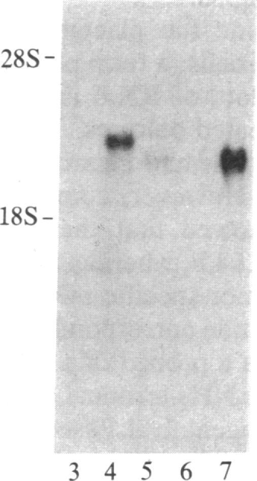 https://cdn.ncbi.nlm.nih.gov/pmc/blobs/0458/323607/71e187368652/pnas00315-0225-b.jpg