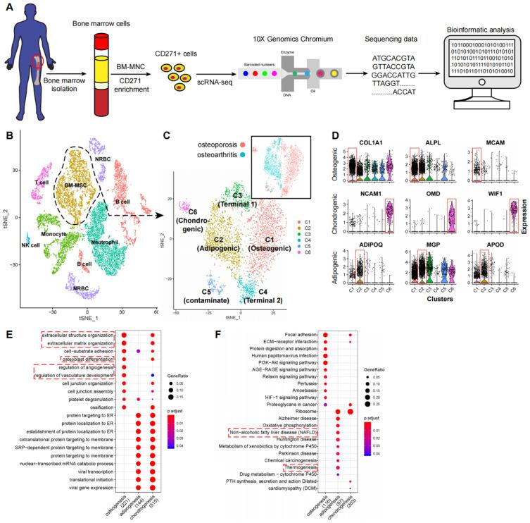https://cdn.ncbi.nlm.nih.gov/pmc/blobs/0458/8579438/c54b005c1c22/ijbsv17p4192g001.jpg