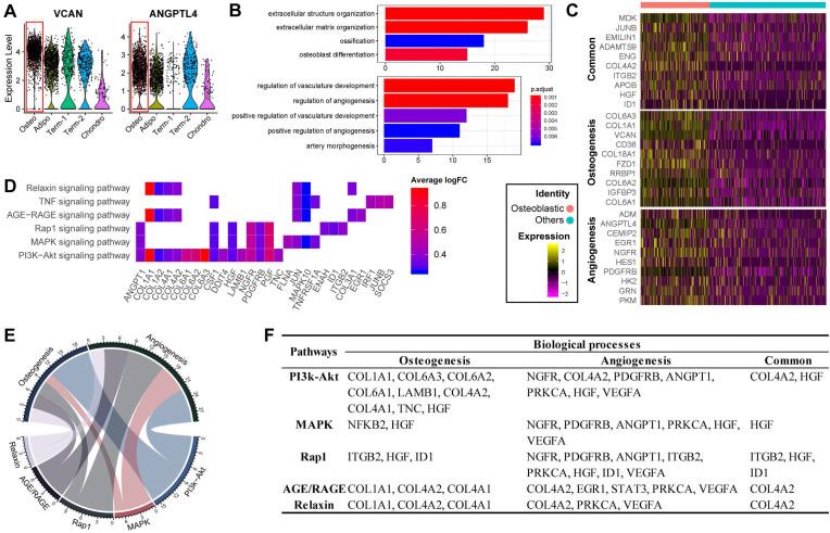 https://cdn.ncbi.nlm.nih.gov/pmc/blobs/0458/8579438/d87e747a85fd/ijbsv17p4192g003.jpg