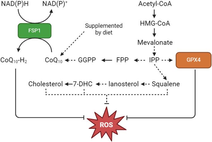 https://cdn.ncbi.nlm.nih.gov/pmc/blobs/0459/12379672/736203758dc4/12672_2025_3444_Fig2_HTML.jpg