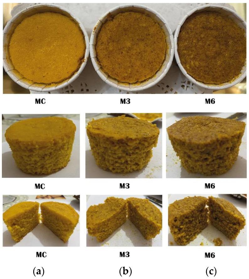 https://cdn.ncbi.nlm.nih.gov/pmc/blobs/045d/11639755/288213a98755/foods-13-03796-g001.jpg
