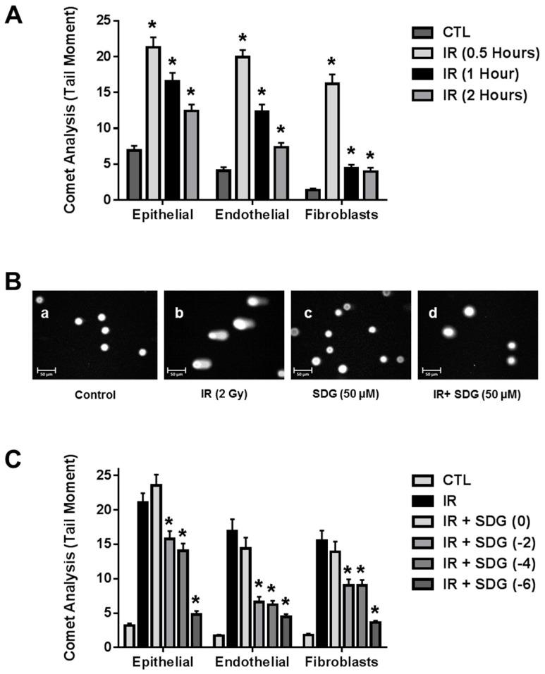 https://cdn.ncbi.nlm.nih.gov/pmc/blobs/045d/4730254/8ba310392620/ijms-17-00007-g001.jpg
