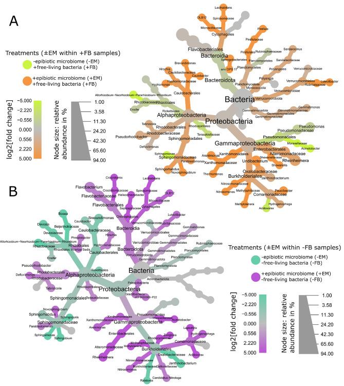 https://cdn.ncbi.nlm.nih.gov/pmc/blobs/045e/11162577/393df159dc9e/40793_2024_580_Fig4_HTML.jpg