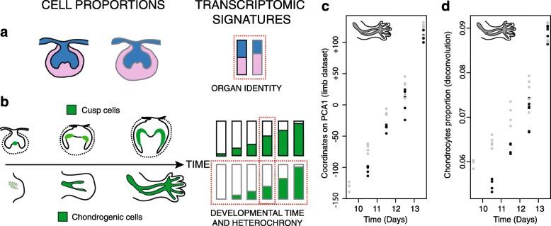 https://cdn.ncbi.nlm.nih.gov/pmc/blobs/045f/5312534/4402aa47eaf3/13059_2017_1157_Fig7_HTML.jpg
