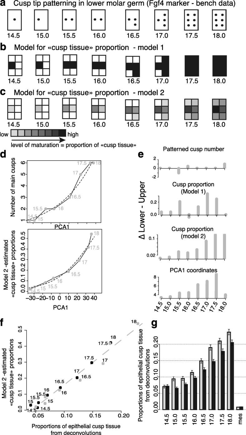 https://cdn.ncbi.nlm.nih.gov/pmc/blobs/045f/5312534/97c443bbca85/13059_2017_1157_Fig6_HTML.jpg