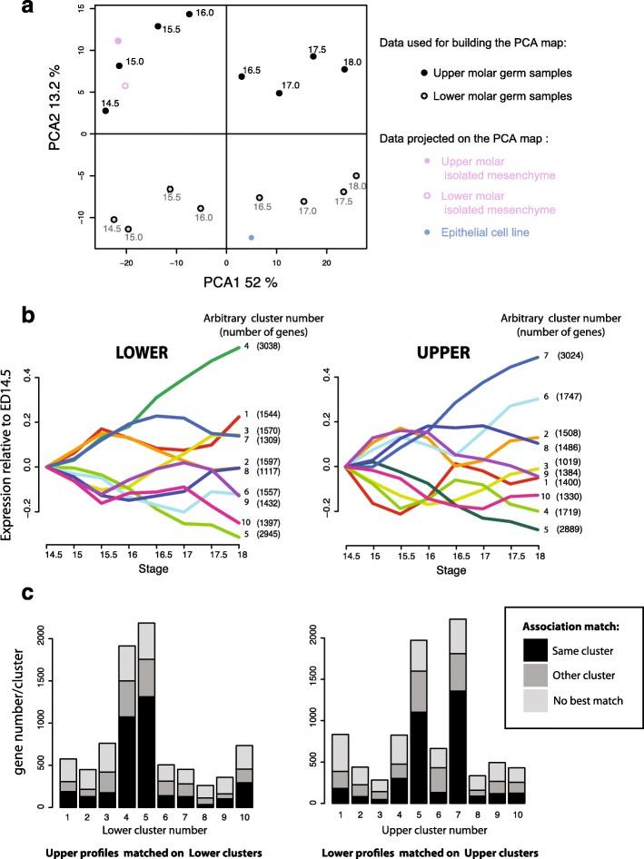 https://cdn.ncbi.nlm.nih.gov/pmc/blobs/045f/5312534/fdd6a486be86/13059_2017_1157_Fig2_HTML.jpg