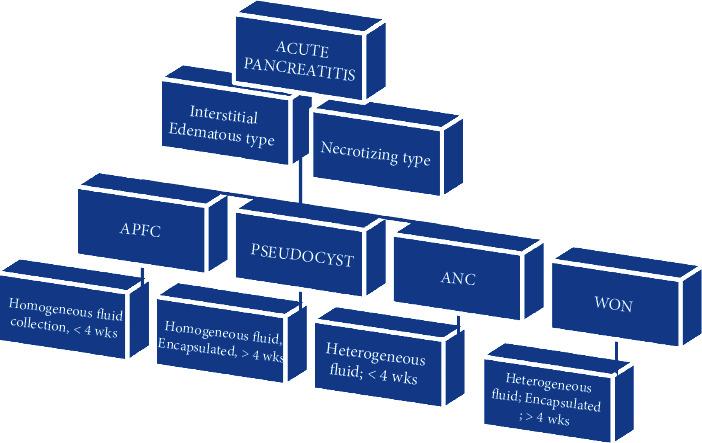 https://cdn.ncbi.nlm.nih.gov/pmc/blobs/0460/8920652/03d3652d7fe7/GRP2022-7575231.001.jpg