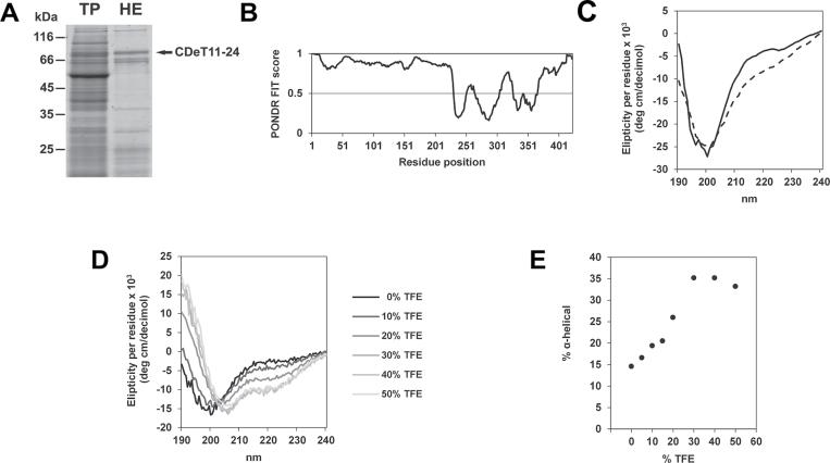 https://cdn.ncbi.nlm.nih.gov/pmc/blobs/0462/3428009/86d2fbe56c36/exbotj_ers173_f0001.jpg