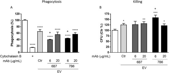 https://cdn.ncbi.nlm.nih.gov/pmc/blobs/0463/5966397/479c37dbdb99/41598_2018_25665_Fig5_HTML.jpg