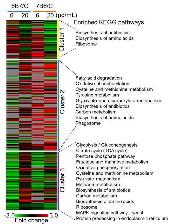 https://cdn.ncbi.nlm.nih.gov/pmc/blobs/0463/5966397/e42921c7649f/41598_2018_25665_Fig3_HTML.jpg