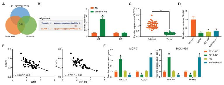 https://cdn.ncbi.nlm.nih.gov/pmc/blobs/0463/8041054/034b5a083def/fgene-12-633756-g005.jpg