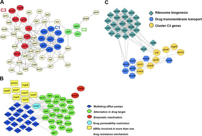 https://cdn.ncbi.nlm.nih.gov/pmc/blobs/0464/9769886/2cc629b830ff/msphere.00383-22-f002.jpg