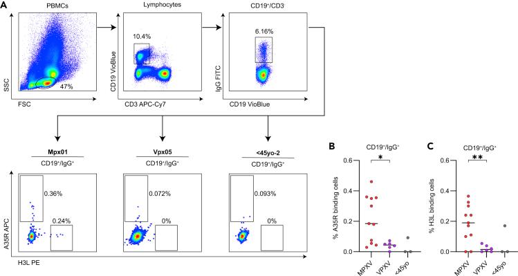 https://cdn.ncbi.nlm.nih.gov/pmc/blobs/0464/9883191/d78efb40d1a8/gr3.jpg