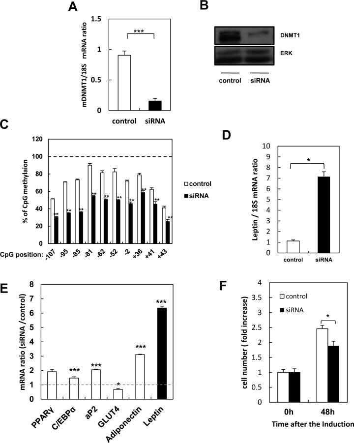 https://cdn.ncbi.nlm.nih.gov/pmc/blobs/0465/4975473/a30b3d0c3360/pone.0160532.g004.jpg