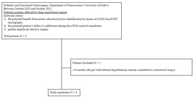 https://cdn.ncbi.nlm.nih.gov/pmc/blobs/0468/9954590/45b25e59ba58/brainsci-13-00234-g001.jpg