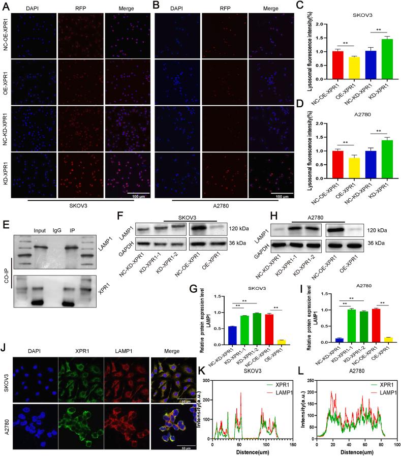 https://cdn.ncbi.nlm.nih.gov/pmc/blobs/046b/12242406/19d5d14c9df1/gr5.jpg