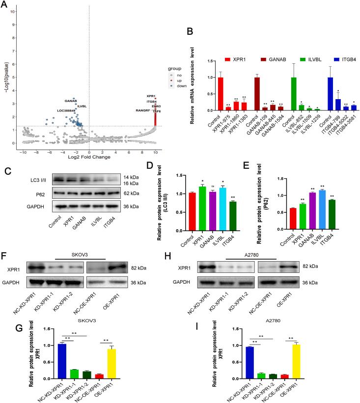 https://cdn.ncbi.nlm.nih.gov/pmc/blobs/046b/12242406/42dbb72429d8/gr1.jpg
