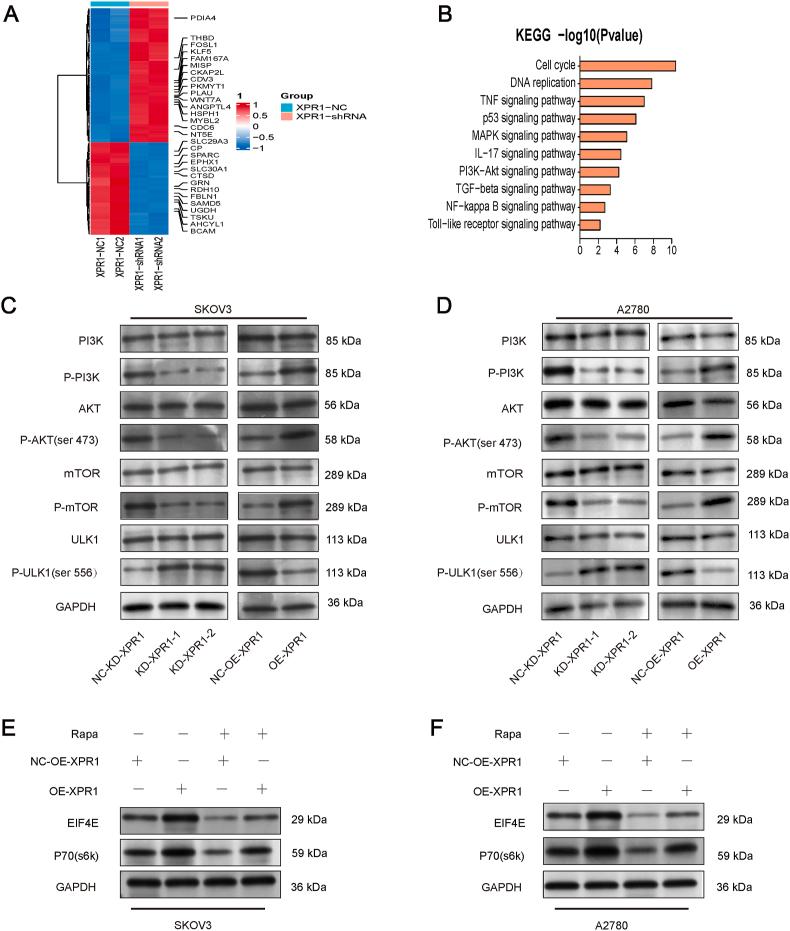 https://cdn.ncbi.nlm.nih.gov/pmc/blobs/046b/12242406/8a18a07852a0/gr6.jpg
