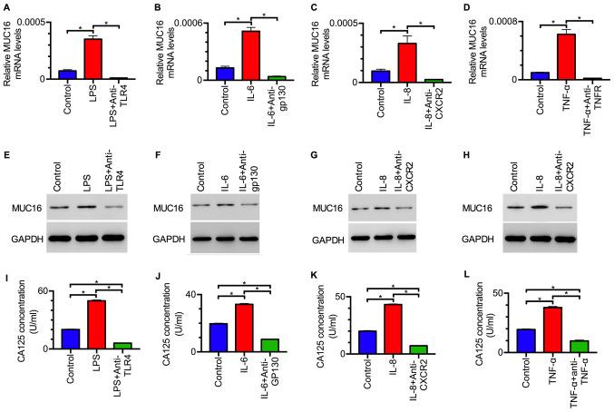 https://cdn.ncbi.nlm.nih.gov/pmc/blobs/046b/7792485/ff5284f5d27a/etm-21-02-09594-g02.jpg