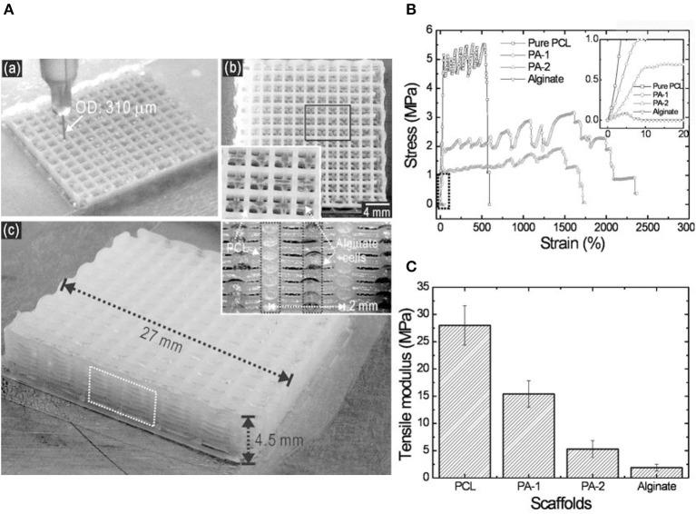 https://cdn.ncbi.nlm.nih.gov/pmc/blobs/046e/7892967/fae411acba47/fbioe-09-630488-g0010.jpg