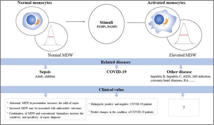 https://cdn.ncbi.nlm.nih.gov/pmc/blobs/046e/9309295/3c1982f8211c/JIR-15-4107-g0001.jpg