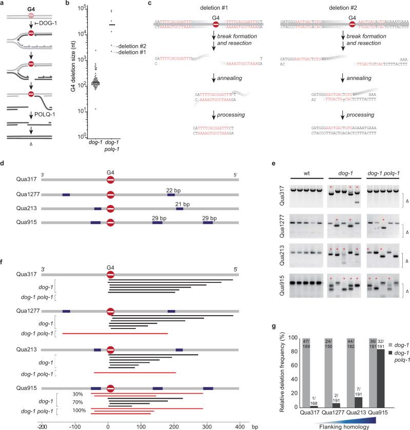 https://cdn.ncbi.nlm.nih.gov/pmc/blobs/046f/8654963/8a81285011d5/41467_2021_27408_Fig1_HTML.jpg