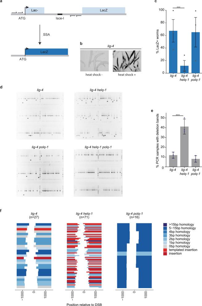 https://cdn.ncbi.nlm.nih.gov/pmc/blobs/046f/8654963/aec0f642ad03/41467_2021_27408_Fig3_HTML.jpg