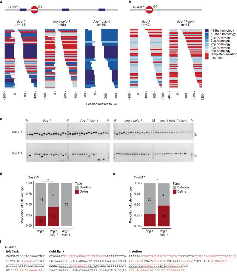 https://cdn.ncbi.nlm.nih.gov/pmc/blobs/046f/8654963/d55bf6f3fe7b/41467_2021_27408_Fig2_HTML.jpg