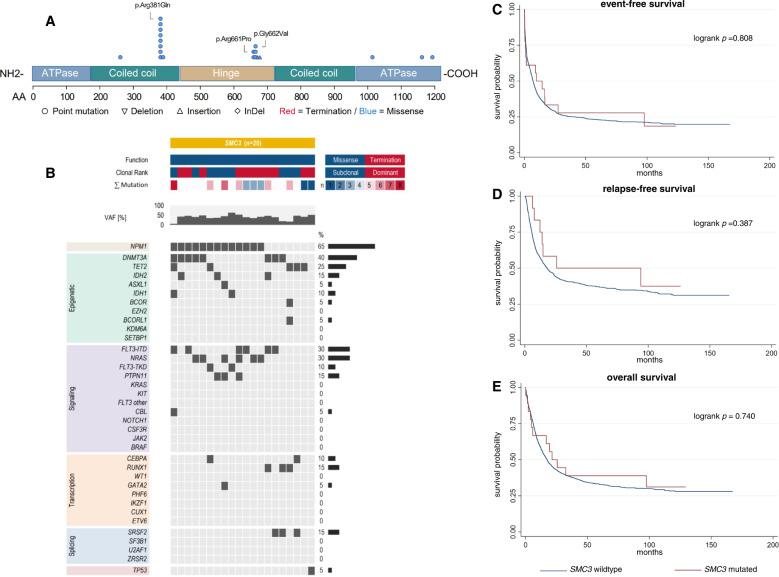 https://cdn.ncbi.nlm.nih.gov/pmc/blobs/046f/9873811/2e875adaf08c/41408_2023_790_Fig4_HTML.jpg