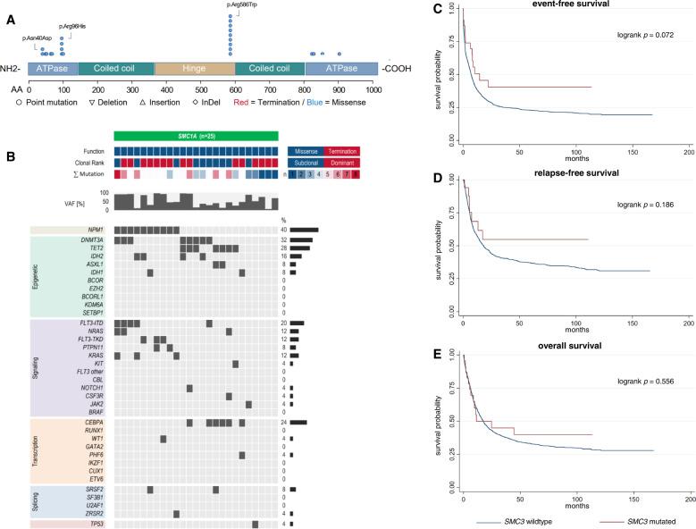 https://cdn.ncbi.nlm.nih.gov/pmc/blobs/046f/9873811/34344b2cdd9b/41408_2023_790_Fig3_HTML.jpg