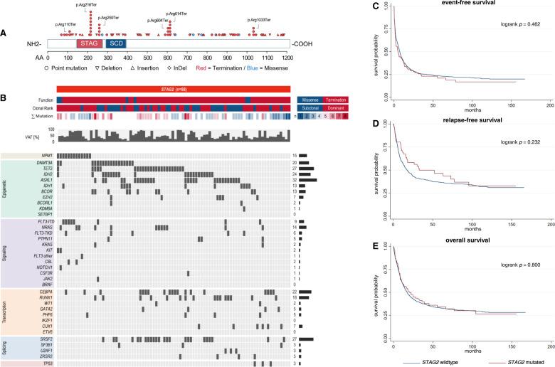 https://cdn.ncbi.nlm.nih.gov/pmc/blobs/046f/9873811/bf79a5715a50/41408_2023_790_Fig1_HTML.jpg