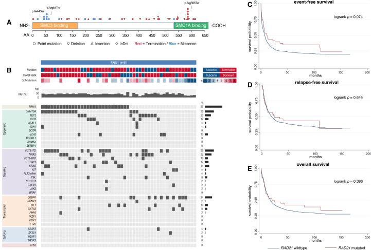 https://cdn.ncbi.nlm.nih.gov/pmc/blobs/046f/9873811/c923cb2a2b97/41408_2023_790_Fig2_HTML.jpg
