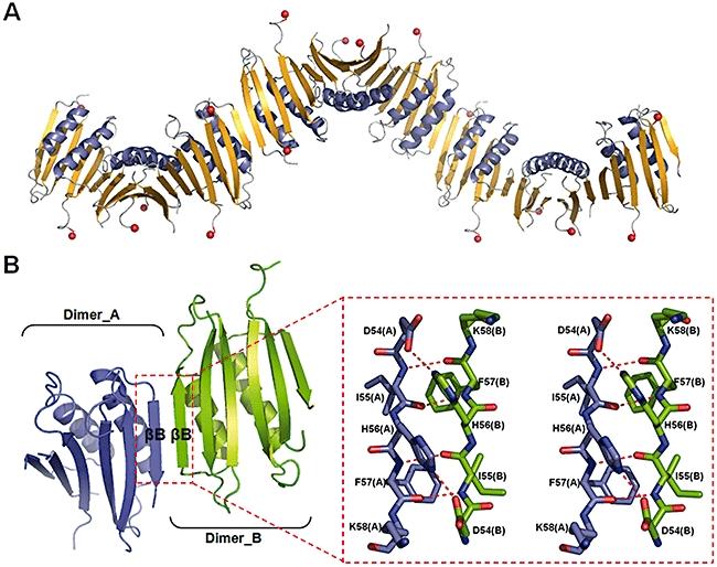 https://cdn.ncbi.nlm.nih.gov/pmc/blobs/0470/2883074/39384eead300/mmi0076-1222-f4.jpg