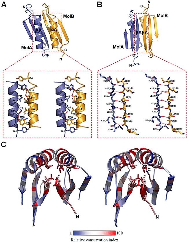 https://cdn.ncbi.nlm.nih.gov/pmc/blobs/0470/2883074/ce8ae67299c6/mmi0076-1222-f2.jpg