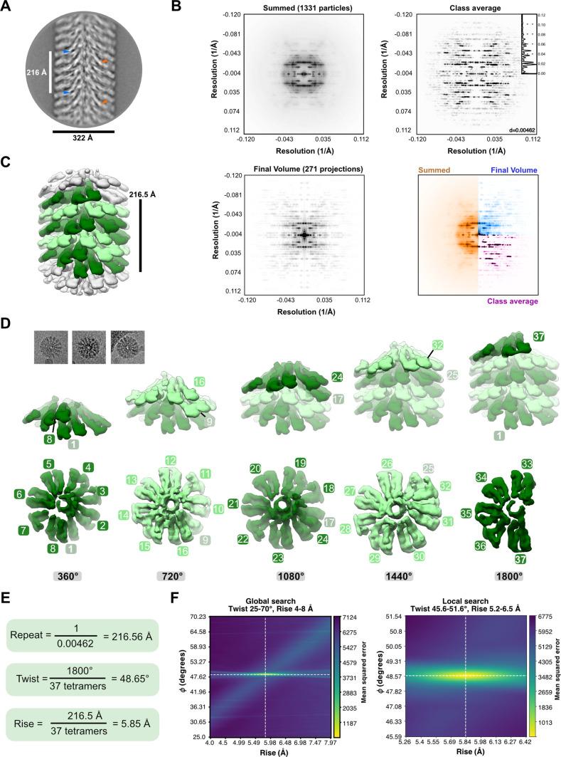 https://cdn.ncbi.nlm.nih.gov/pmc/blobs/0473/8824476/4249dbd95908/elife-73439-fig4-figsupp2.jpg