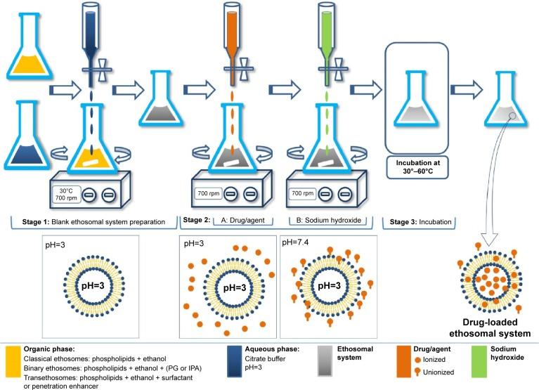 https://cdn.ncbi.nlm.nih.gov/pmc/blobs/0474/4887071/32f9b913307f/ijn-11-2279Fig4.jpg