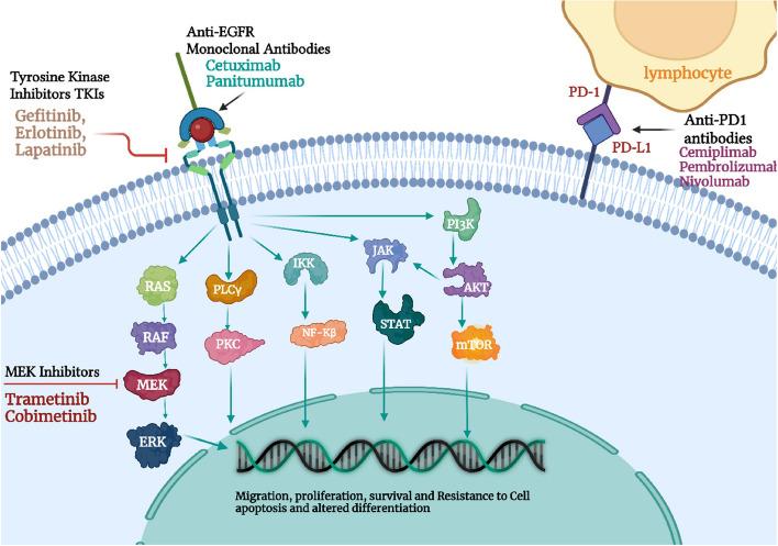 https://cdn.ncbi.nlm.nih.gov/pmc/blobs/0476/10559482/0dda67e2cefe/12943_2023_1854_Fig2_HTML.jpg