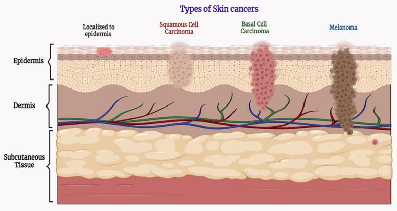 https://cdn.ncbi.nlm.nih.gov/pmc/blobs/0476/10559482/2ddf70b3bad3/12943_2023_1854_Fig3_HTML.jpg