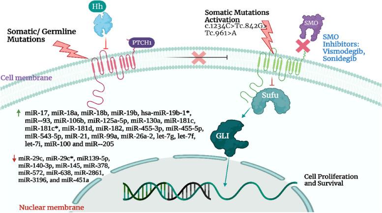 https://cdn.ncbi.nlm.nih.gov/pmc/blobs/0476/10559482/4670ec668ea3/12943_2023_1854_Fig1_HTML.jpg