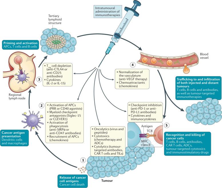 https://cdn.ncbi.nlm.nih.gov/pmc/blobs/0476/10559482/530361bea05f/12943_2023_1854_Fig7_HTML.jpg