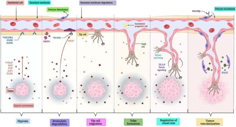 https://cdn.ncbi.nlm.nih.gov/pmc/blobs/0476/10559482/8ab2cb64e524/12943_2023_1854_Fig4_HTML.jpg