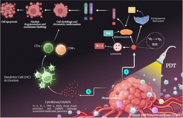 https://cdn.ncbi.nlm.nih.gov/pmc/blobs/0476/10559482/9e8588cec9dc/12943_2023_1854_Fig6_HTML.jpg
