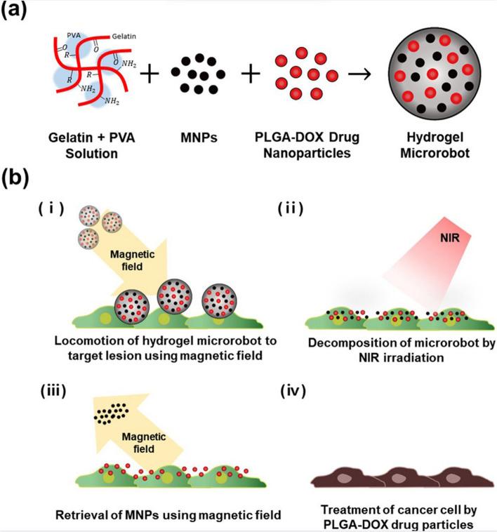 https://cdn.ncbi.nlm.nih.gov/pmc/blobs/0476/10559482/da17e6895b14/12943_2023_1854_Fig12_HTML.jpg